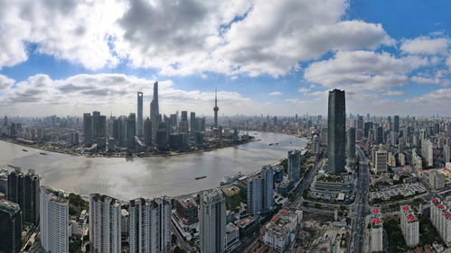 王德忠 加速上規模成體系,推進國際貿易中心提質升級